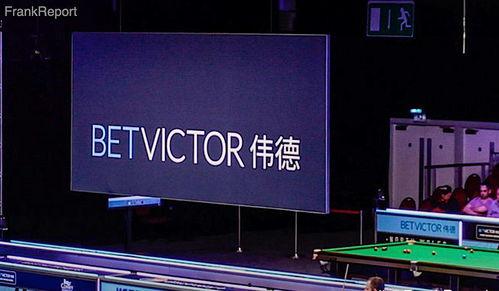 国产极速视频网