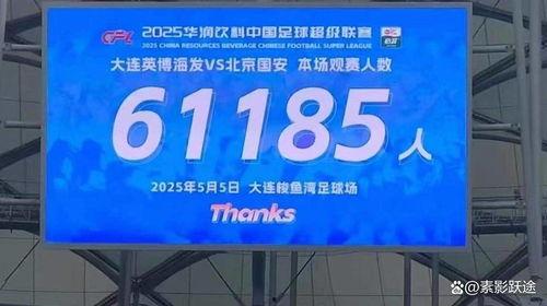 国产极速视频网