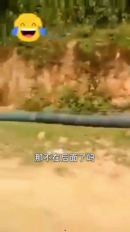 国产玩具视频配音搞笑,笑料百出，欢乐无限