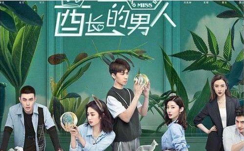 国产剧高甜花絮视频大全,国产剧高甜花絮大盘点