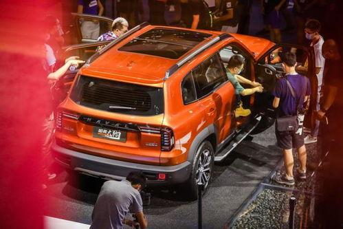 国产suv大狗街拍视频,硬核实力与时尚外观的完美融合