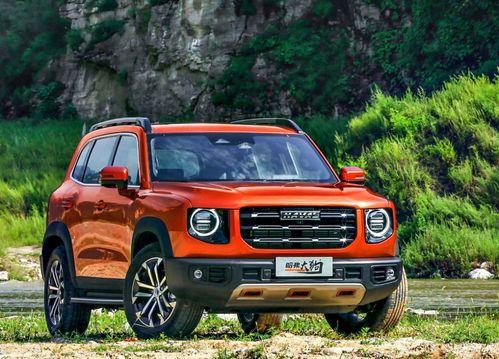 国产suv大狗街拍视频,硬核实力与时尚外观的完美融合