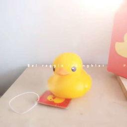 国产小黄鸭视频