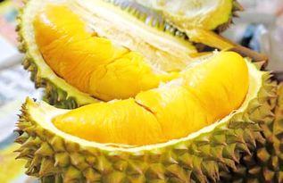 国产草莓榴莲视频网站,探索跨界美食的奇妙之旅