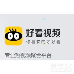 国产视频招代理,共创国产视频代理新篇章