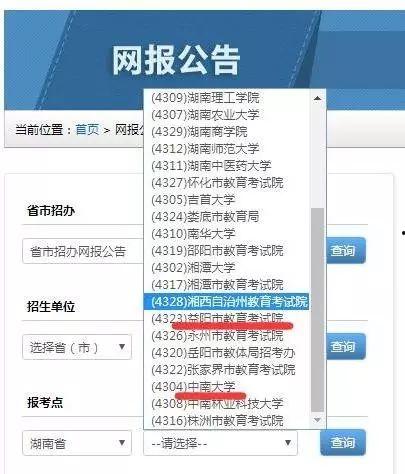 国产网报在线区视频,精彩瞬间回顾