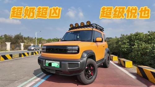 烈马国产试驾视频播放