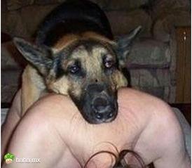 国产兽犬亚洲欧美视频