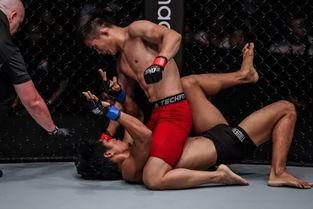 国产摔跤手视频,力与美的完美演绎