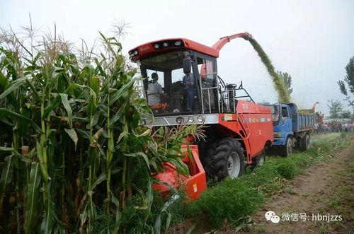 国产农机导航视频大全集