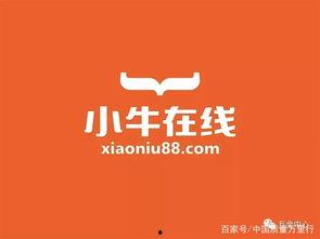 国产小牛在线观看视频,揭秘国产短视频平台的魅力与潜力