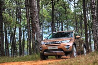 国产路虎发现6试驾视频,驾驭新境界，探索未知之旅