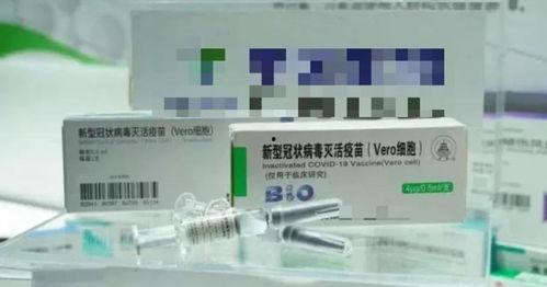 国产牛疫苗视频,守护畜牧健康，助力乡村振兴