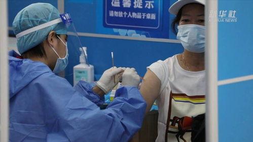 国产牛疫苗视频,守护畜牧健康，助力乡村振兴