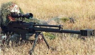 国产狙击枪视频大全,揭秘我国狙击利器