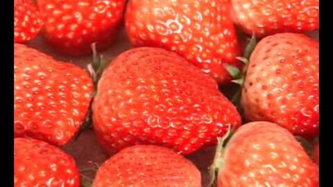 国产草莓视频无码A下载,一场视觉盛宴的探索之旅