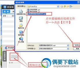 求国产视频编辑软件